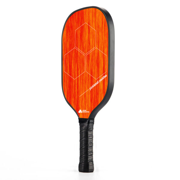 approved pickleball paddles