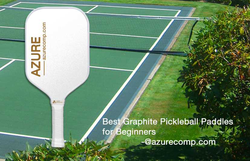 best graphite pickleball paddles for beginners