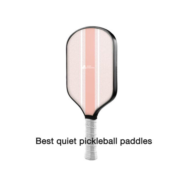 best quiet pickleball paddles